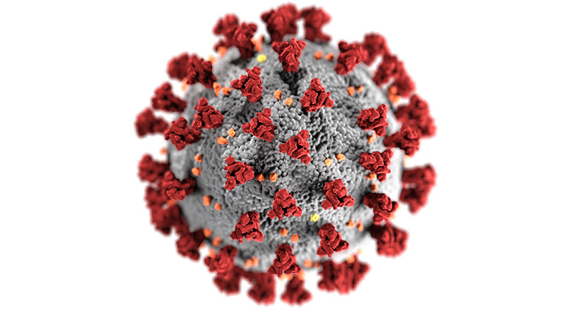 illustration - Coronavirus