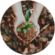 photo - closeup of hands holding soil